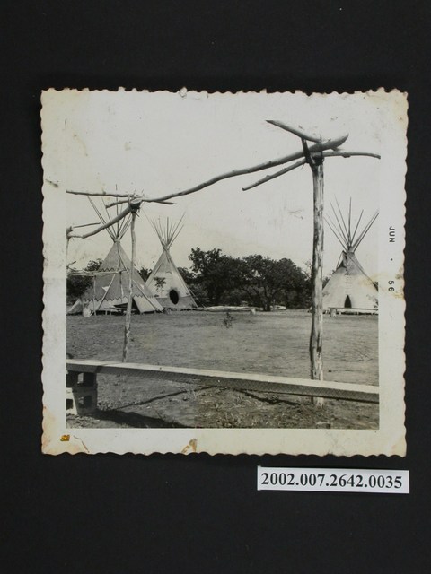 草地上的三座露天帳篷 (共1張)