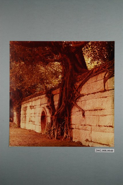 臺南四草炮臺 (共1張)