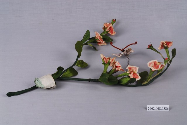 蝴蝶紙鈔花朵 (共3張)