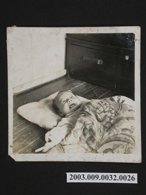 照片:嬰兒照 (共1張)