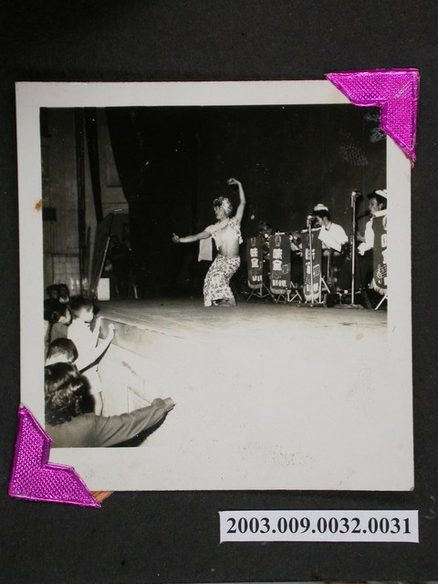 照片:舞蹈表演 (共1張)