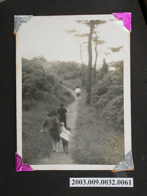 照片:風景照 (共1張)