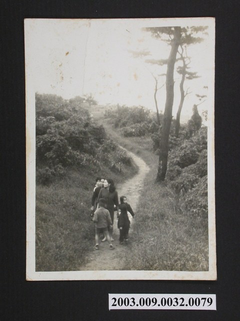 照片:旅遊照 (共1張)