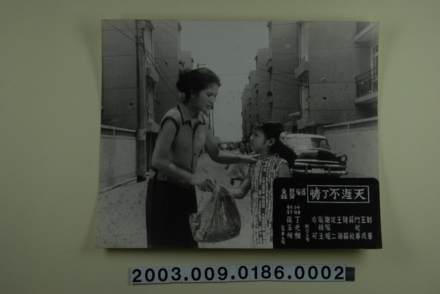 《天涯不了情》電影劇照2 (共2張)