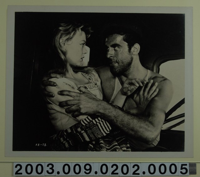 《美人世界》珍妮特麥劇照 (共2張)