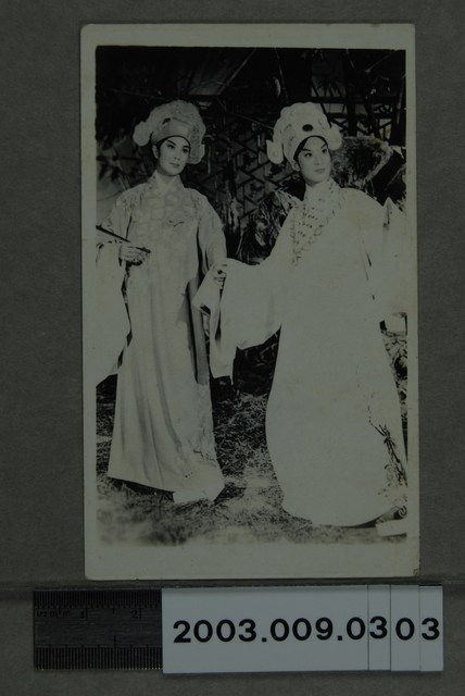 《梁山伯與祝英台》電影劇照 (共2張)