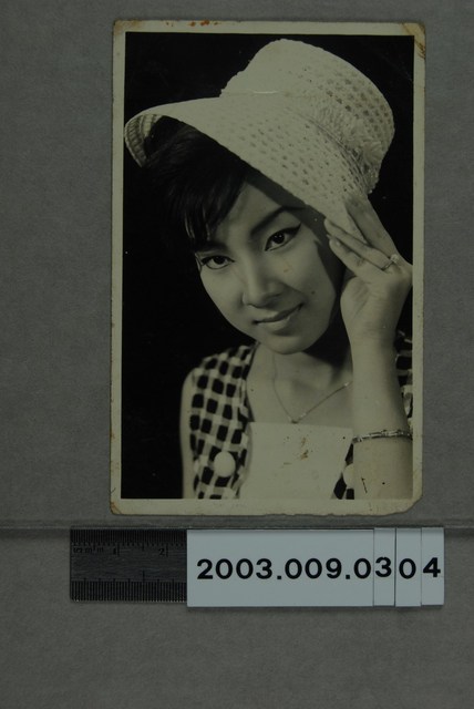 女明星照 (共2張)