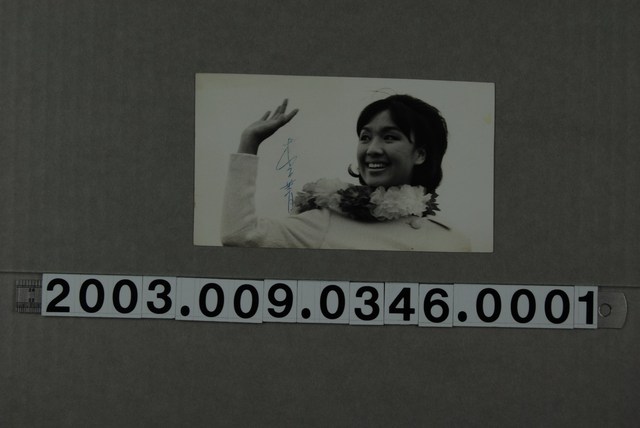 李菁明星照 (共2張)