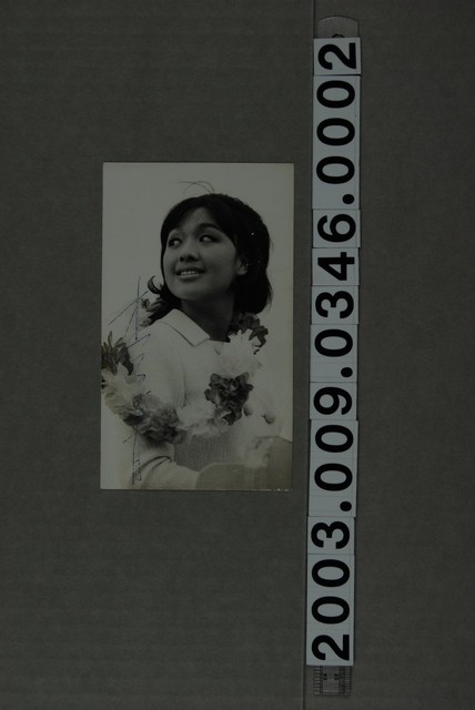 李菁明星照 (共2張)