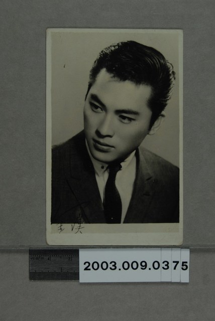 金漢明星照 (共2張)