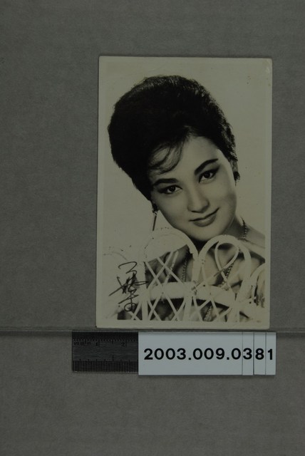 葉楓明星照 (共2張)