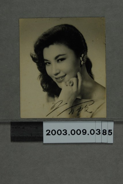 張仲文明星照 (共3張)