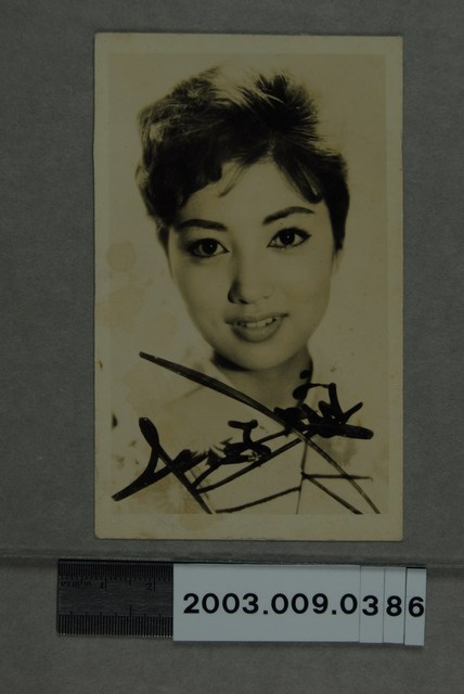 女明星照 (共2張)