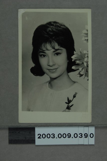 樂蒂明星照 (共2張)