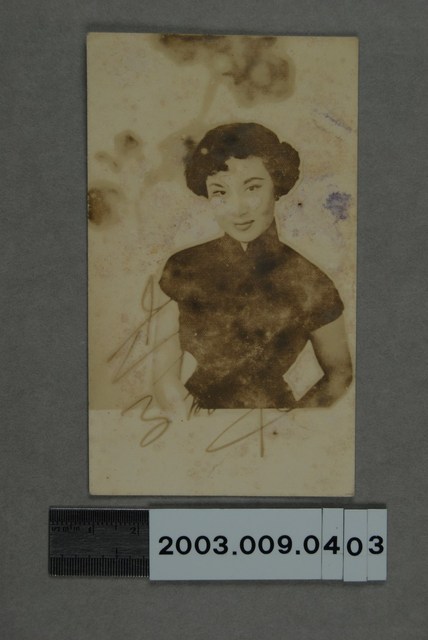 李麗華明星照 (共2張)