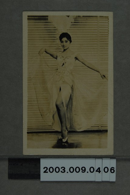 女明星照 (共2張)