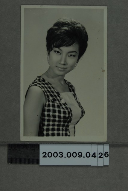 女明星照 (共2張)