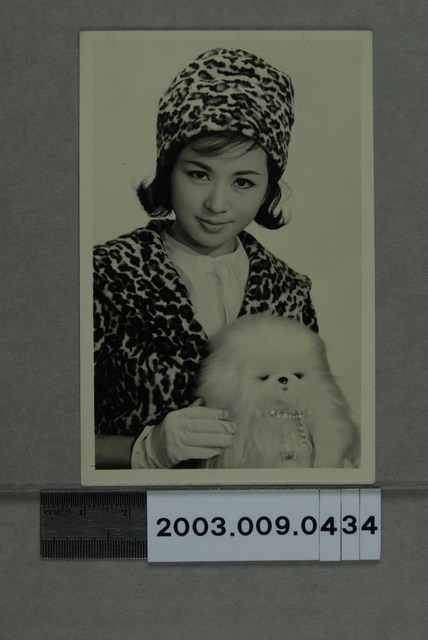 金玫明星照 (共2張)