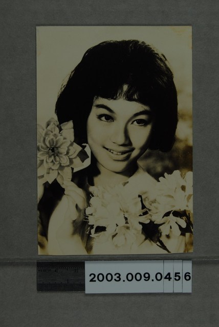 女明星照 (共2張)