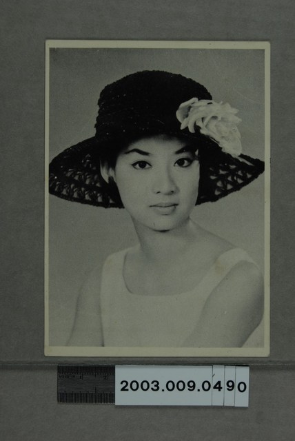 女明星照 (共2張)