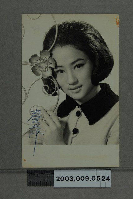 秦萍明星照 (共2張)