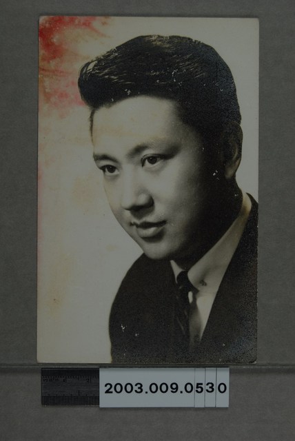 張揚明星照 (共2張)