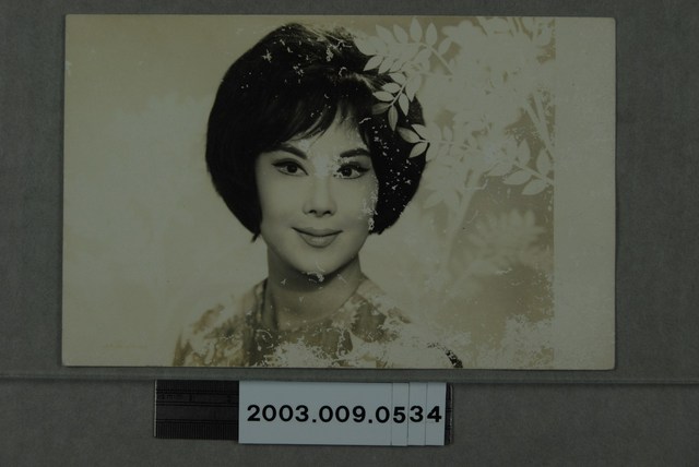 李麗華明星照 (共2張)