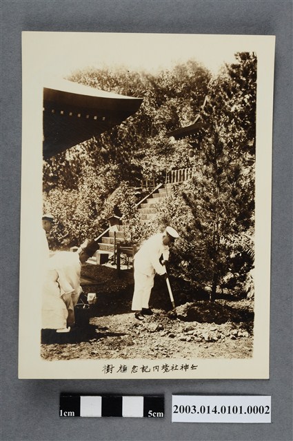 宜蘭神社境內紀念植樹 (共4張)