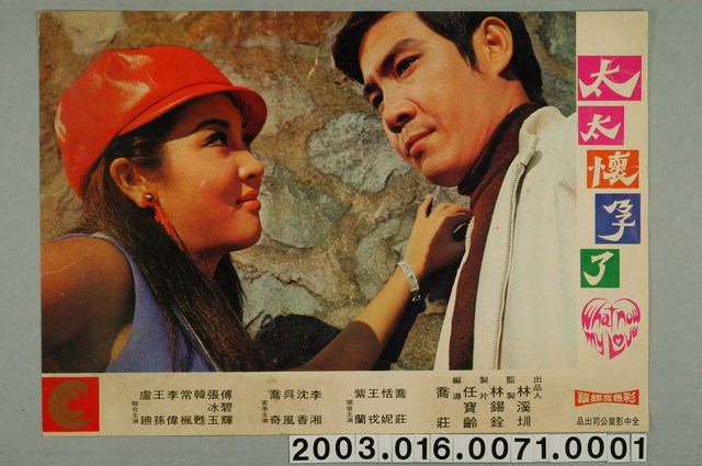 《太太懷孕了》電影劇照1 (共1張)