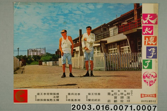 《太太懷孕了》電影劇照7 (共1張)