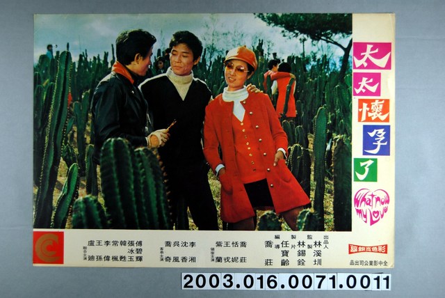 《太太懷孕了》電影劇照11 (共1張)