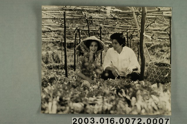 《七夕雨》電影劇照7 (共1張)