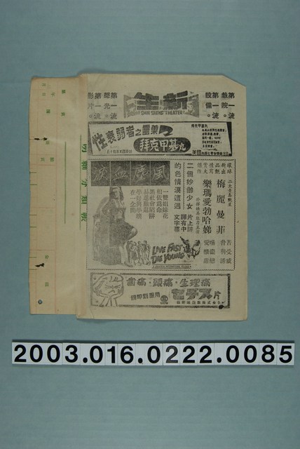 新生戲院發行《風塵血淚》電影本事 (共3張)