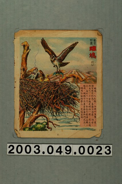 〈雎鳥〉紙本散頁 (共1張)