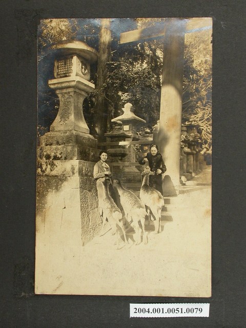 兩名女子於春日大社與鹿合影 (共1張)