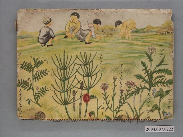 兒童數學圖本 (共2張)