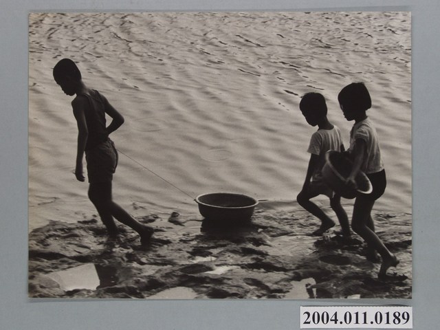 3名孩童在岸邊找尋某物 (共1張)