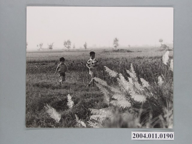 2名男孩在草叢玩耍 (共1張)