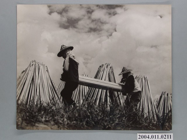 何懷東攝「晒木場側景」 (共2張)