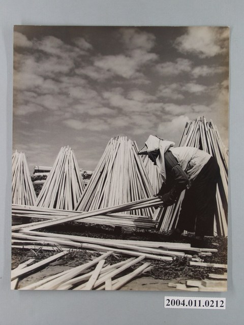 何懷東攝「晒木場側景」 (共2張)