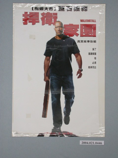 《捍衛家園》電影海報 (共1張)