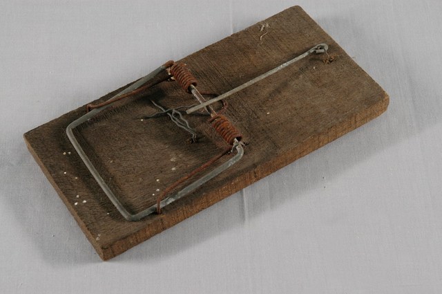 木製夾鼠板 (共2張)