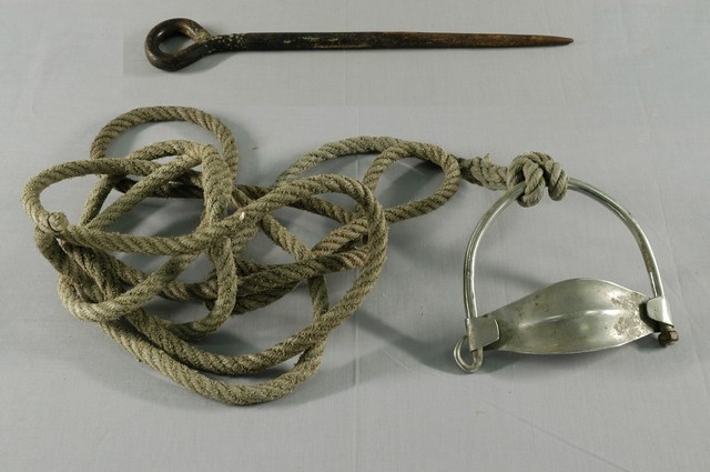 牛鼻栓與綁牛繩 (共1張)