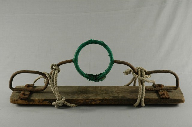 穿牛鼻架子 (共2張)