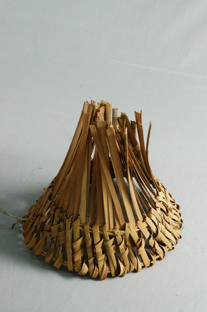 田雞龍蓋子 (共2張)