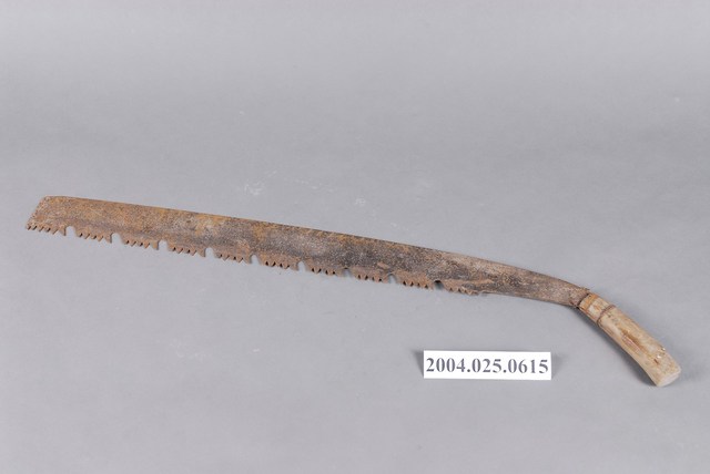 五齒鉤鋸 (共2張)