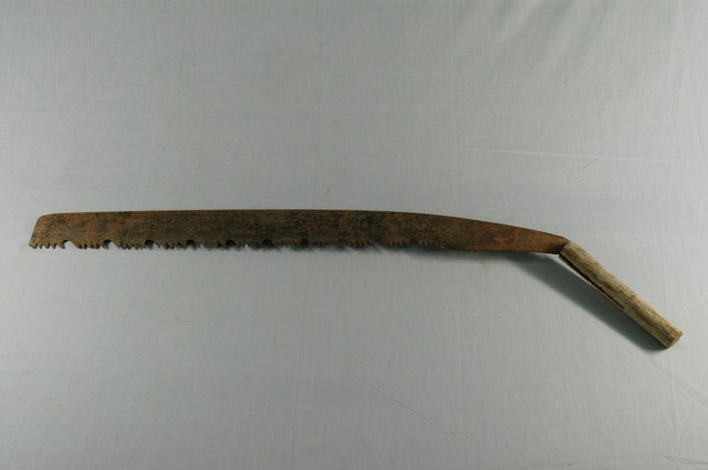 五齒鉤鋸 (共2張)