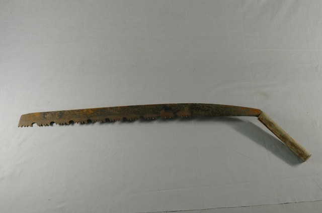 五齒鉤鋸 (共2張)