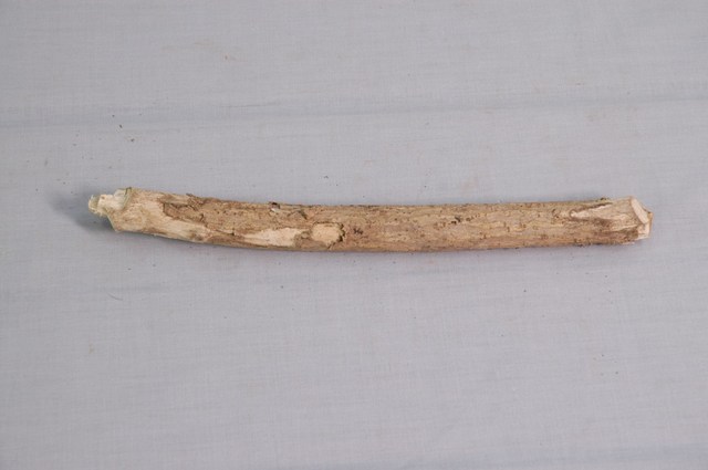 輪卡榫2 (共2張)