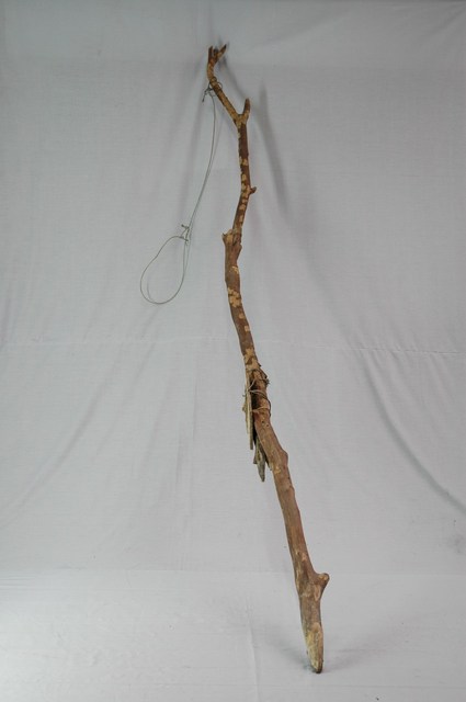 山豬陷套索 (共1張)